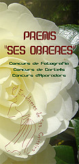 breveon1987