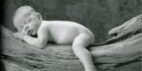 breveon4132