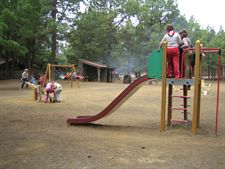 breveon6273