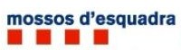 breveon7936