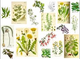 arton10706