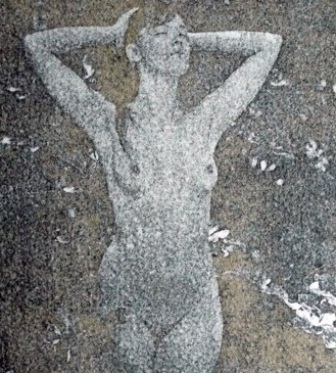 arton11892