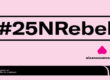 25N a SantBoi