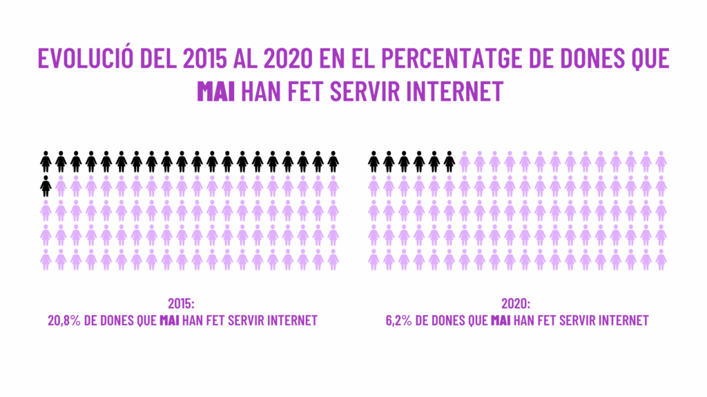 Dones que mai han fet servir internet