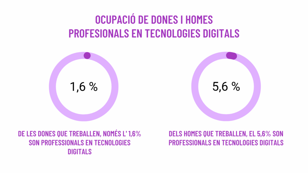 bretxa d'ocupacio de dones i homes professionals TIC