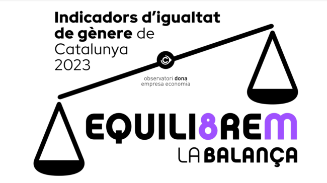 Estudi indicadors igualtat
