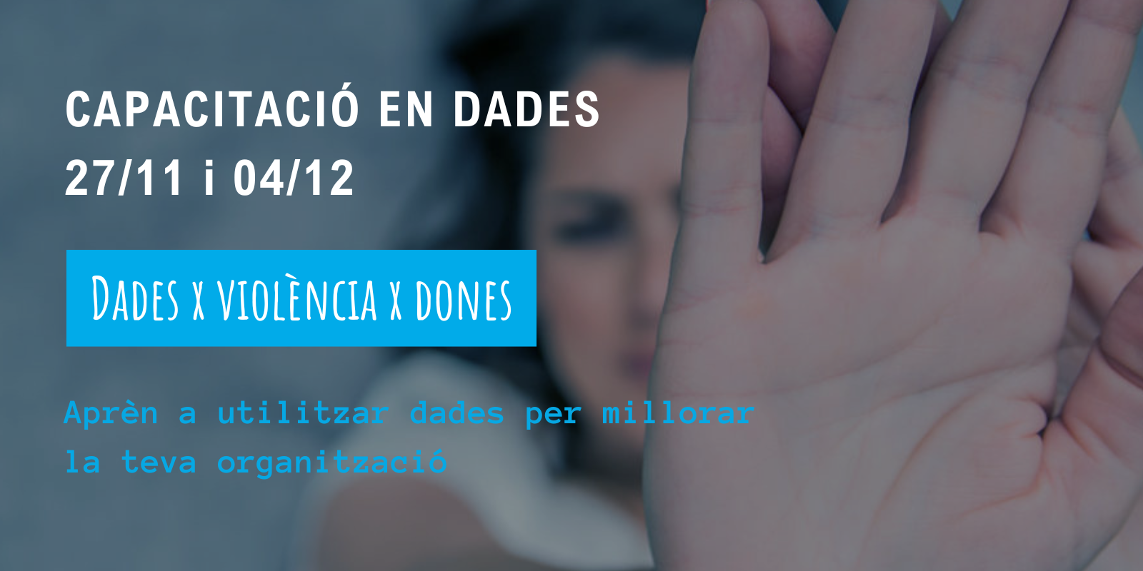 Capacitació en Dades